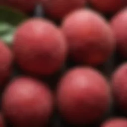 A close-up view of a ripe lychee showing its textured skin and vibrant color.
