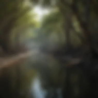 Mangroves: Coastal Guardians Mangrove forests as a protective coastal ecosystem