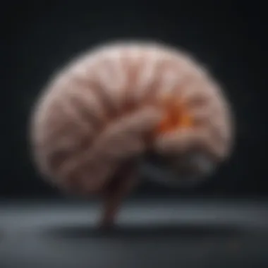Brain Activities and Supplement Effects Visualization of brain activities linked to supplement effects