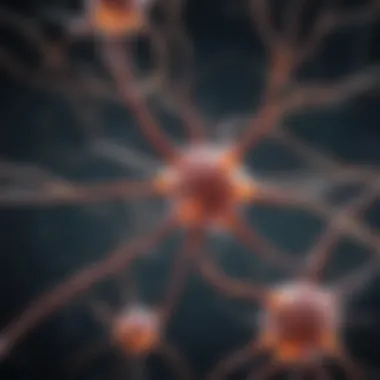Neurons and CNS Vitality Brain neurons interconnected representing CNS vitality