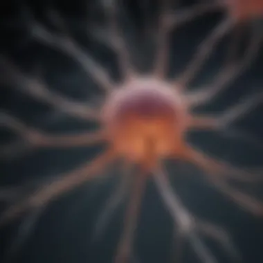 Synaptic Transmission Mechanisms Illustration of synaptic transmission highlighting mechanisms of action