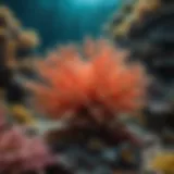 A vibrant underwater scene showcasing tenuis coral in its natural habitat