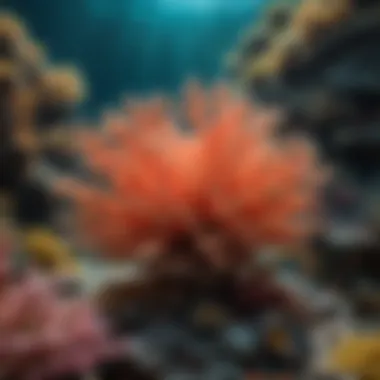 A vibrant underwater scene showcasing tenuis coral in its natural habitat