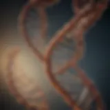 Representation of DNA double helix structure