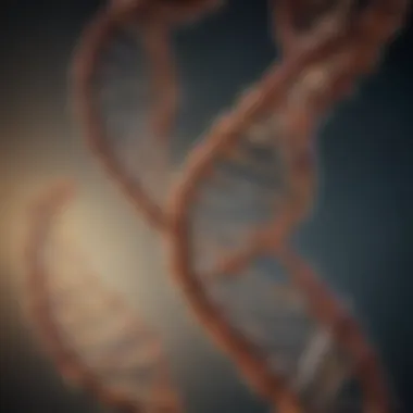 The Double Helix: The Structure of Life Representation of DNA double helix structure