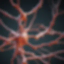 Neurotransmitter activity illustration