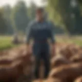 Sustainable farming practices in action