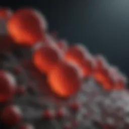 Detailed structure of red blood cells showcasing their biconcave shape.