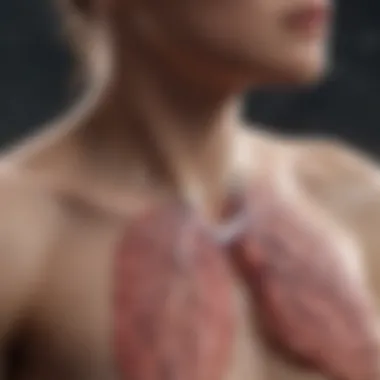 Understanding Lung Function in Cystic Fibrosis High-resolution representation of lung function in cystic fibrosis