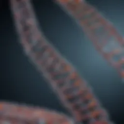 Illustration of genome sequencing technology