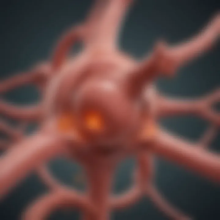 Illustration of the genetic factors related to uterine cancer