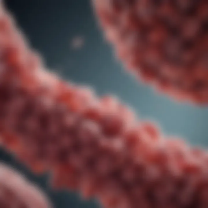 An infographic showcasing the impact of genetics and environment on bowel cancer risk.