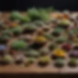 An array of assorted herbal remedies displayed on a wooden surface.