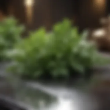 Fresh and Vibrant Herbs A close-up of fresh herbs arranged artistically on a countertop.