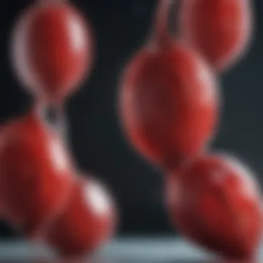 Transfusion Compatibility Explained Visual representation of blood transfusion compatibility