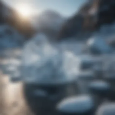 Ecological Impact of Ice Ecological impact of ice in different ecosystems illustrating its roles
