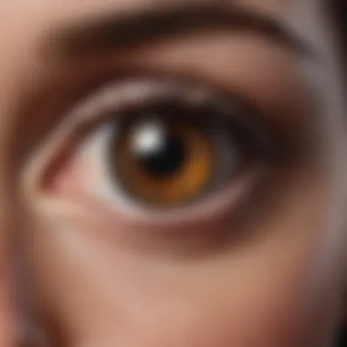 Innovative Technologies in Ocular PDT Innovative technologies enhancing the efficacy of ocular PDT