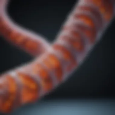Colon Cancer Screening Statistics Colon cancer screening statistics