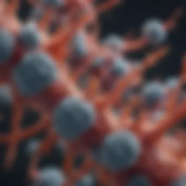 Insights into Myeloperoxidase and Protease 3 Antibodies Introduction Insights into Myeloperoxidase and Protease 3 Antibodies Introduction