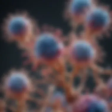Notable Insights into Myeloperoxidase and Protease 3 Antibodies Notable Insights into Myeloperoxidase and Protease 3 Antibodies