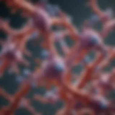 Insights into Myeloperoxidase and Protease 3 Antibodies Summary Insights into Myeloperoxidase and Protease 3 Antibodies Summary