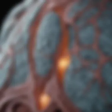 High-resolution CT scan showing lung infiltrates