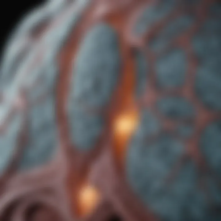 High-resolution CT scan showing lung infiltrates