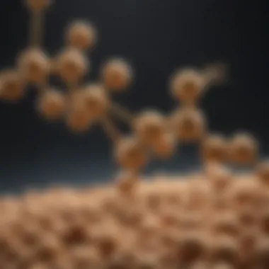 Isoflavones: The Key Compounds in Soy An illustration depicting the molecular structure of isoflavones found in soy.