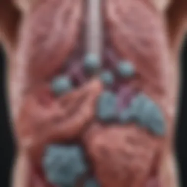Antibiotic Resistance Mechanisms in Klebsiella pneumoniae Diagram showing antibiotic resistance mechanisms