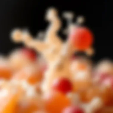 Lactobacillus casei paracasei in Food Applications Lactobacillus casei paracasei in various food products