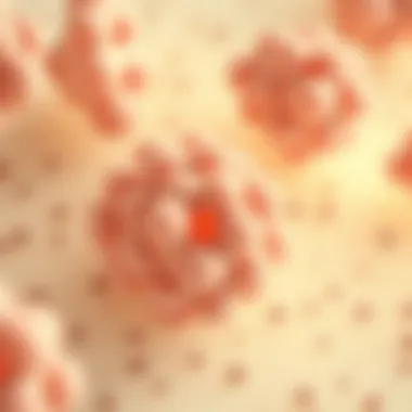 Microscopic Colonies of Lactobacillus casei paracasei Microscopic view of Lactobacillus casei paracasei colonies