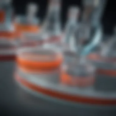 Exploring Diabetes Mechanisms in the Laboratory Advanced laboratory research on diabetes mechanisms