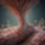 Pathway illustrating lysosomal enzyme dysfunction