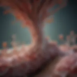Pathway illustrating lysosomal enzyme dysfunction