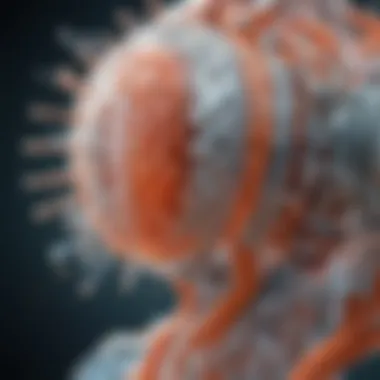 Mechanisms of Meningitis Vaccine Action Visual representation of meningitis vaccine mechanisms