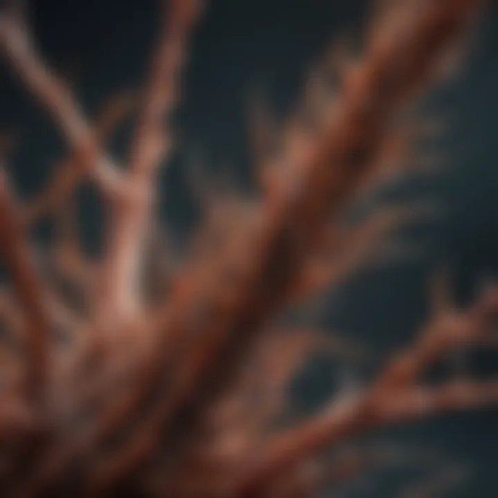 A microscopic view highlighting the intricate details of the 'thorn three' in an ecological context.