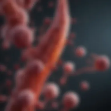 Clinical Manifestations of Multiple Myeloma Graph displaying the clinical manifestations associated with multiple myeloma.