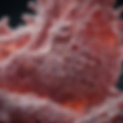 Microscopic view of lung tissue highlighting napsin A expression