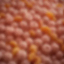 Delicate textures of soft foods suitable for esophageal stricture management