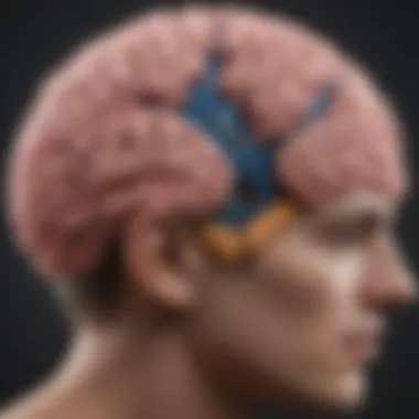Neurological Insights: The Brain and Autism Diagram illustrating neurological underpinnings of autism