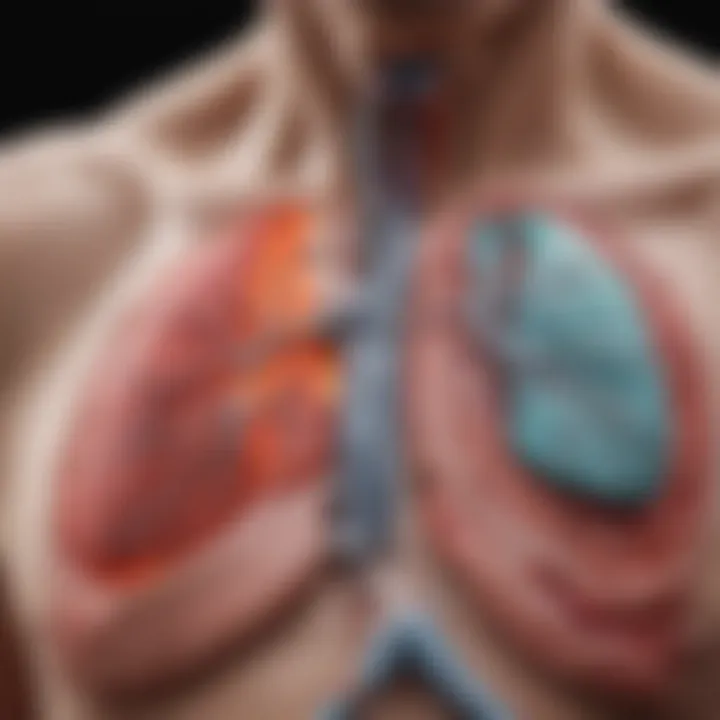 Diagram illustrating pathophysiological mechanisms affecting pulmonary function in rheumatoid arthritis patients.