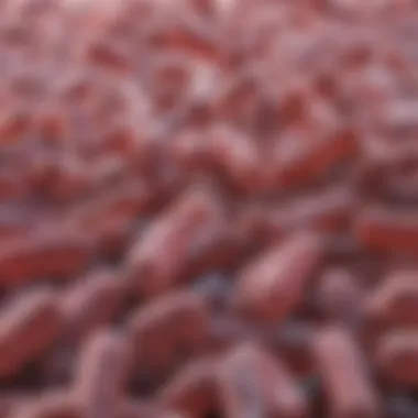 Representation of Clostridium difficile bacteria