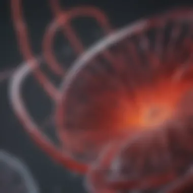 Interpretation of protein gel images with annotations