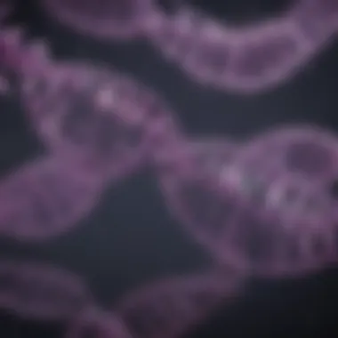 Regulatory Elements in Purple Shark DNA Diagram showcasing regulatory elements in purple shark DNA