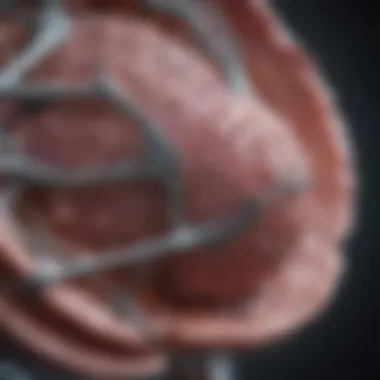 Understanding Recurrence Mechanisms in DCIS Mechanisms behind recurrence of DCIS following radiation therapy.