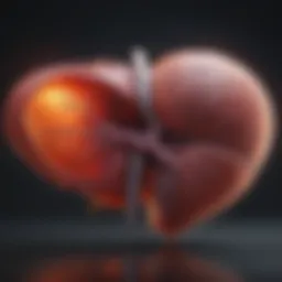 Illustration showcasing liver regenerative capabilities