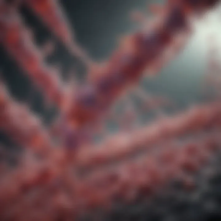 Graphical representation of genetic factors contributing to bacterial resistance