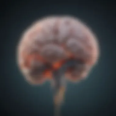 Serotonin in the Brain Visual representation of serotonin levels in the brain