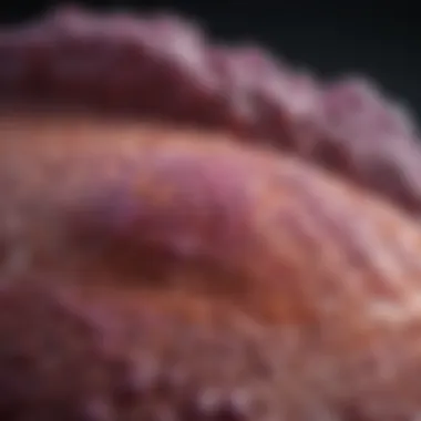 Survival Rate of Stage 4 Pancreatic Cancer: An In-Depth Analysis Introduction Survival Rate of Stage 4 Pancreatic Cancer: An In-Depth Analysis Introduction