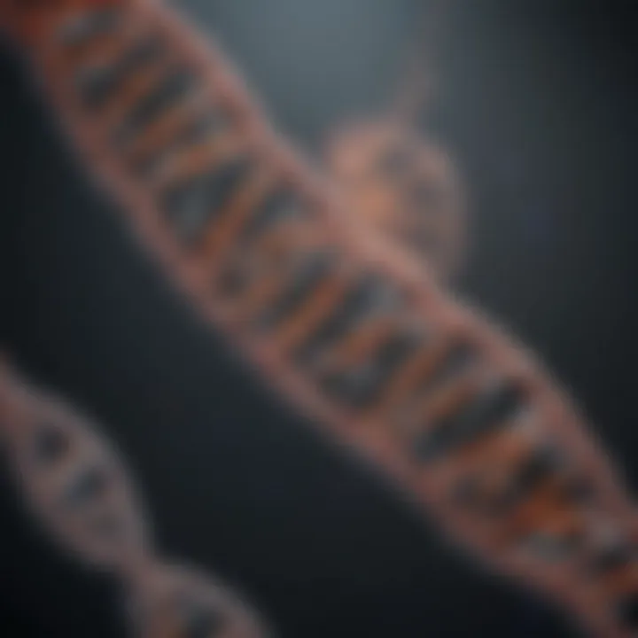 Molecular visualization of DNA structure